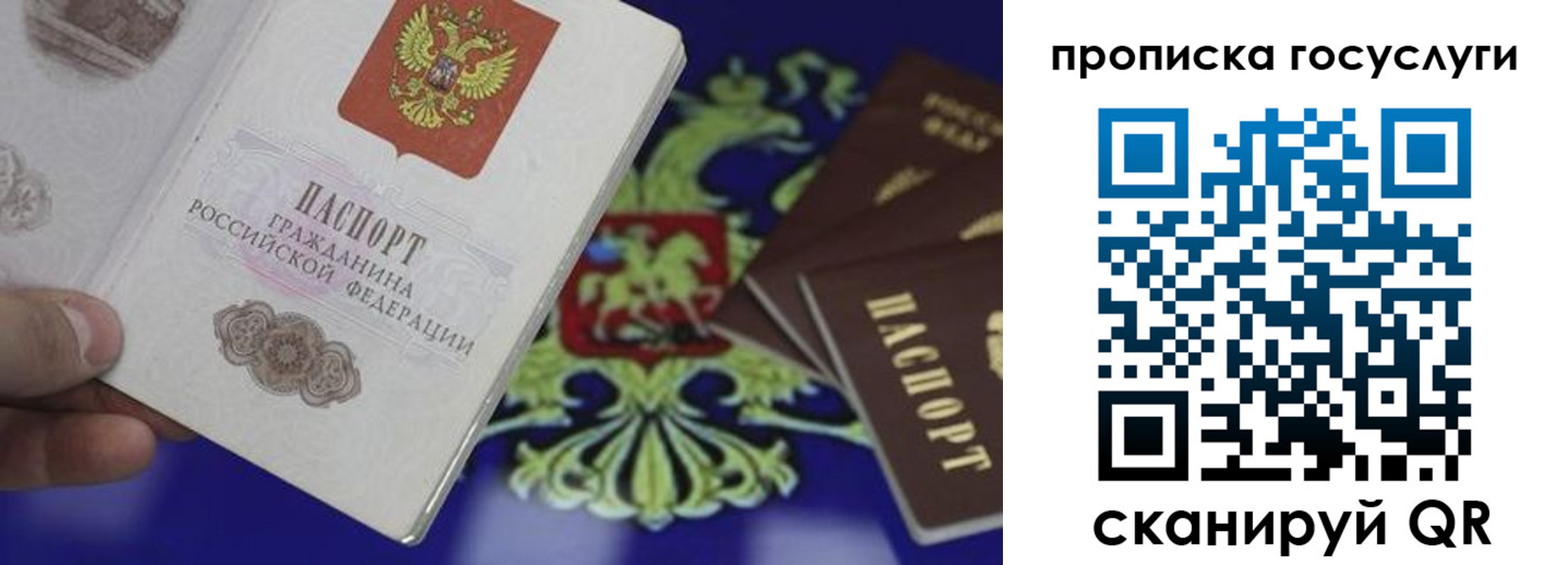 прописка для школы в Далматово